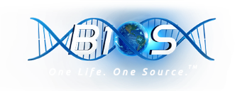 B1 logo